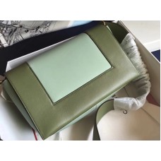 Celine Medium Frame schoudertas Calskin in blauw en groen