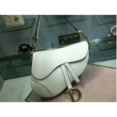 Dior Saddle Calfskin Bag met gouden hardware, wit m0446l3